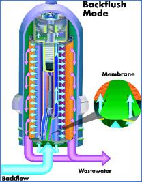 image005.jpg image005.jpg